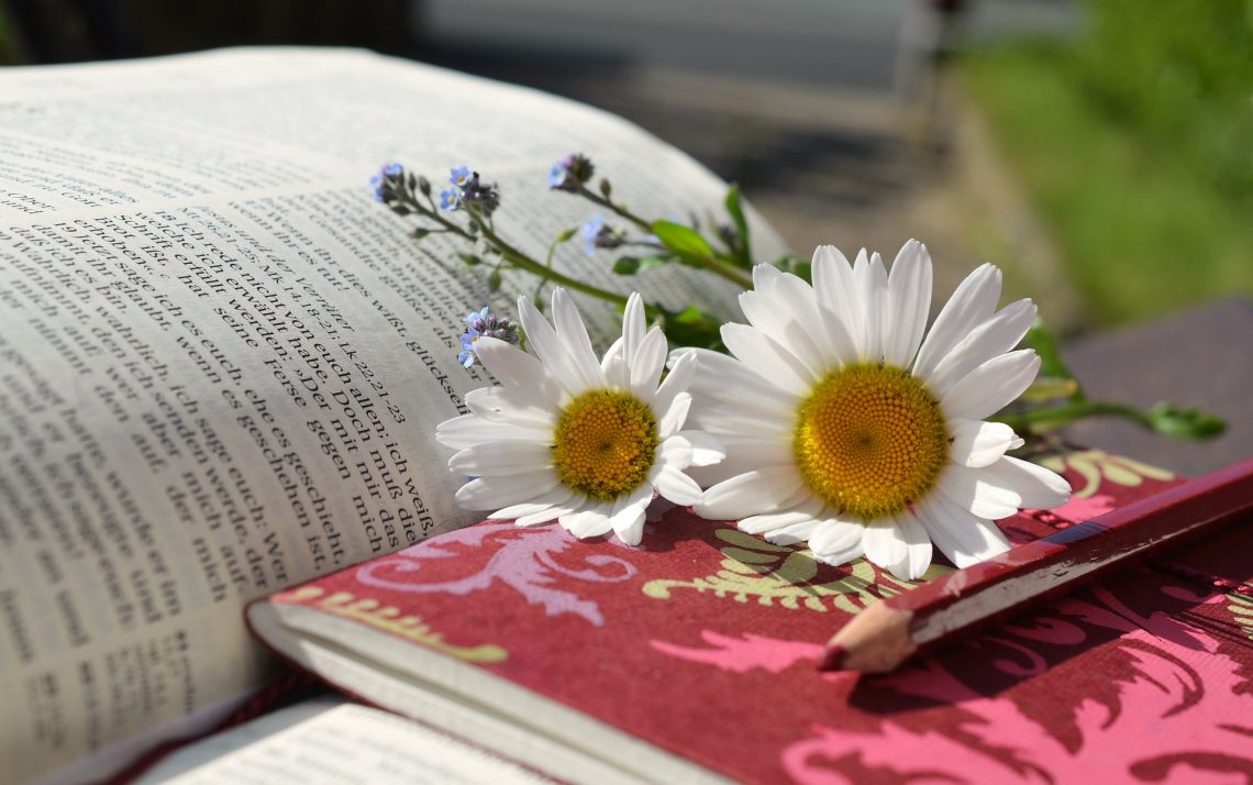Bible with daisies