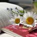 Bible with daisies