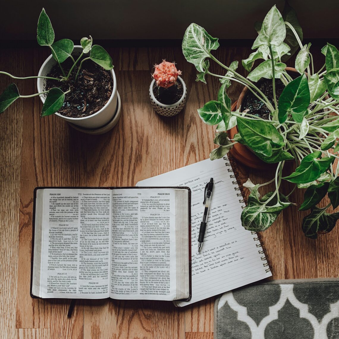 read the Bible